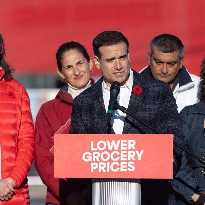 Nova Scotia election: Liberals say province's immigration levels are too high